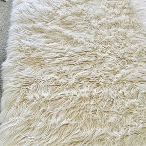 Danso Shaggy Beige Rug 3x5